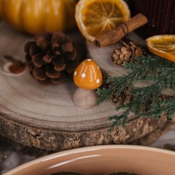 Assortiment de Feuilles d Érable, Brindilles et Champignons en Résine. n°1