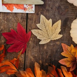 Lot de 50 Feuilles d rable Dgrad de Couleurs Automnales - 10 cm. n3