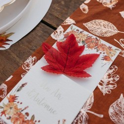 Lot de 50 Feuilles d rable Dgrad de Couleurs Automnales - 10 cm. n8