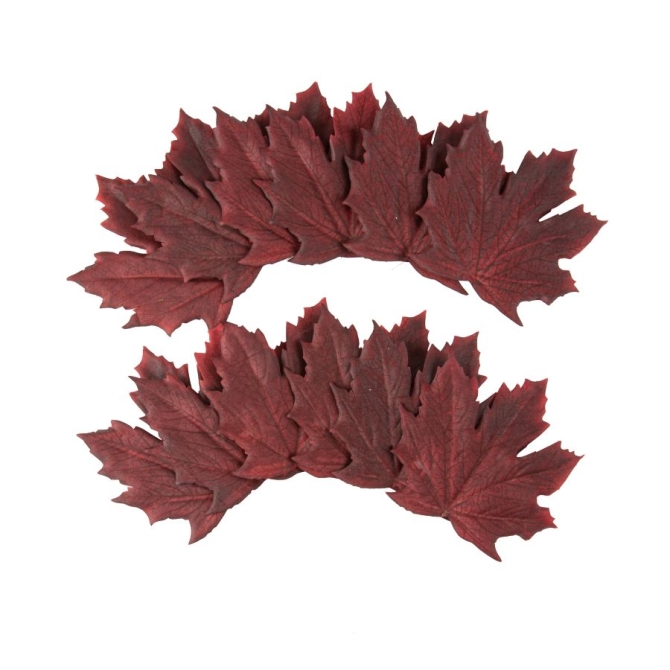 Lot de 12 Feuilles d rable Pourpre - 10, 5 cm 