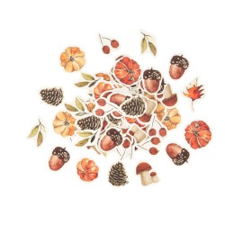 Grande Bote  Fte Promenade d Automne. n4