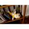 Trophe Petit Tigre - Papier 3D images:#3