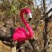 Trophe Flamant Rose - Papier 3D. n5