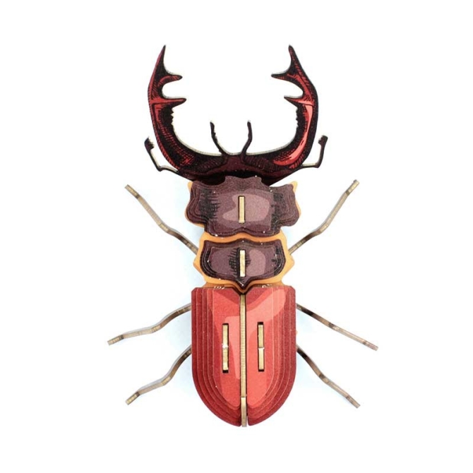 Trophe Insecte - Mordicus 