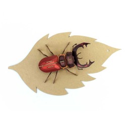 Trophe Insecte - Mordicus. n1