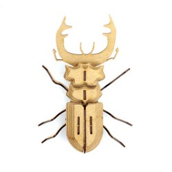 Trophe Insecte - Mordicus. n2