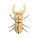 Trophée Insecte - Mordicus. n°3