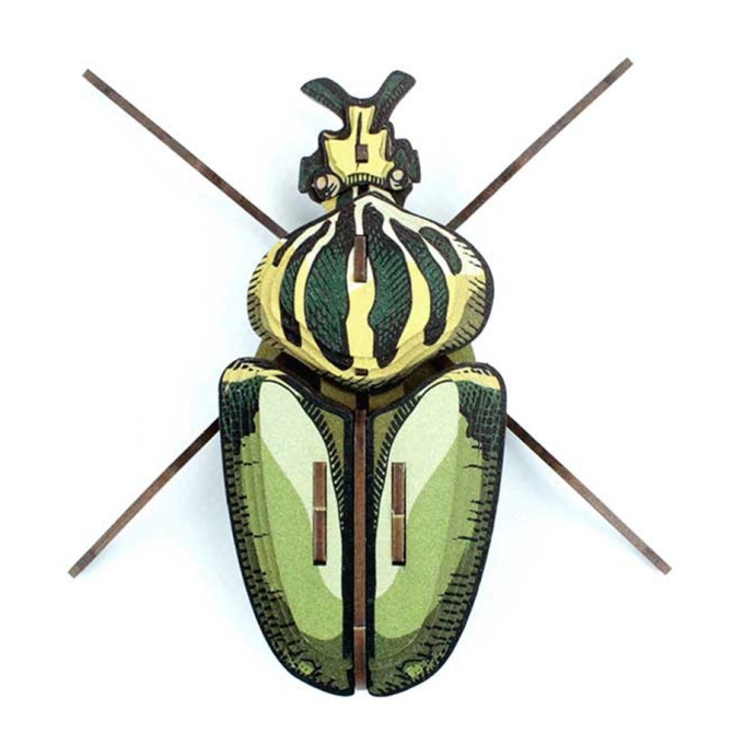 Trophe Insecte - Globulus Giganticus 