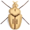 Trophée Insecte - Globulus Giganticus images:#1