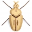 Trophe Insecte - Globulus Giganticus
