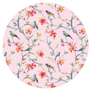 Disque gteau Birds (19 cm)