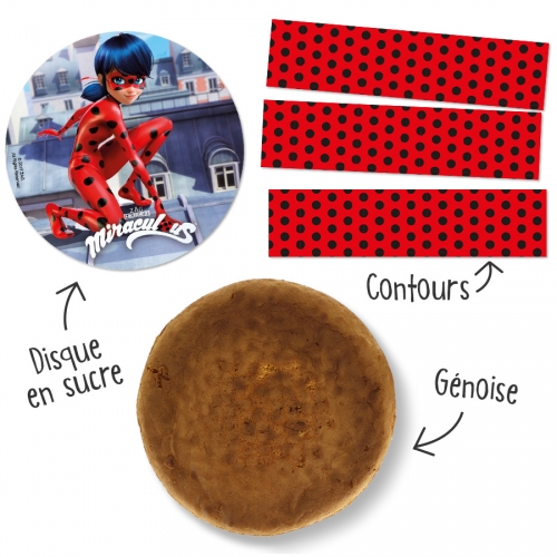 Kit Gateau Ladybug Pour L Anniversaire De Votre Enfant Annikids