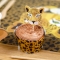 Kit Cupcakes Savane - Recyclable images:#4