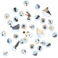 Confettis Animaux Polaires - Recyclable