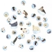 Confettis Animaux Polaires - Recyclable. n°1