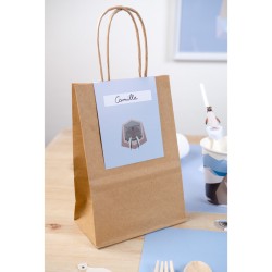 6 Sacs Cadeaux Animaux Polaires - Recyclable. n2