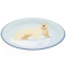 6 Assiettes Animaux Polaires - Recyclable images:#1