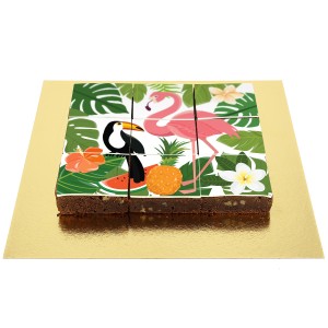 Brownies Puzzle Tropical