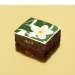 Brownies Puzzle Tropical. n2