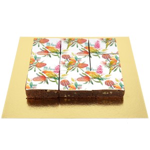 Brownies Puzzle Perroquet