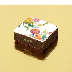 Brownies Puzzle Perroquet. n1