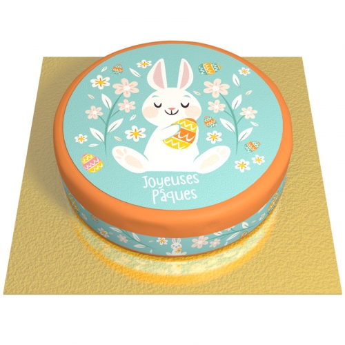 Gateau Lapin De Paques O Cm Pour L Anniversaire De Votre Enfant Annikids