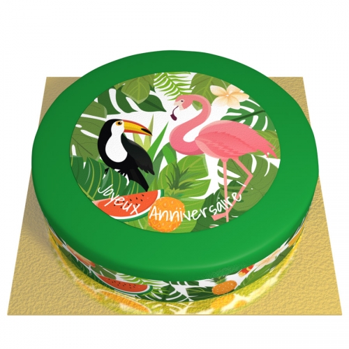 Gateau Tropical O 26 Cm Pour L Anniversaire De Votre Enfant Annikids