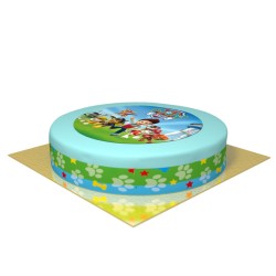 Gteau Pat Patrouille Ryder -  26 cm. n1