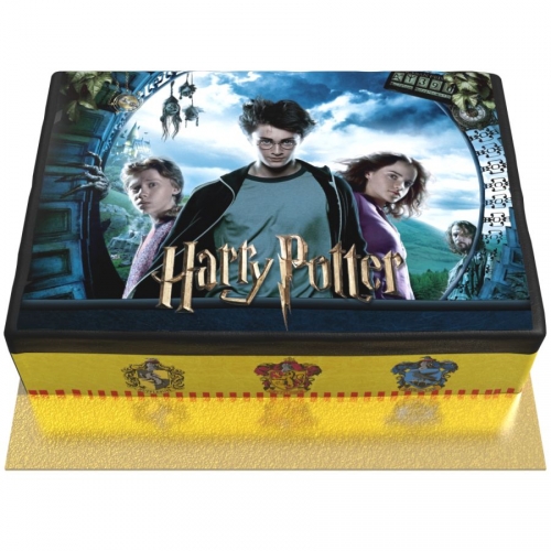 Gâteau Harry Potter - 26 x 20 cm 