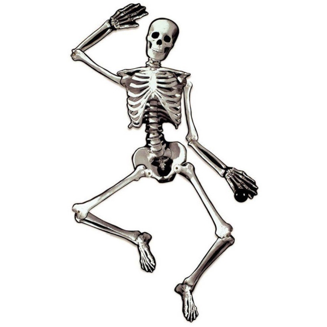 Déco Squelette articulé (1, 34 m) - Carton 