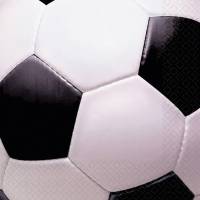 16 Serviettes Foot
