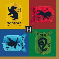 Maxi Bote  fte Harry Potter Houses. n2