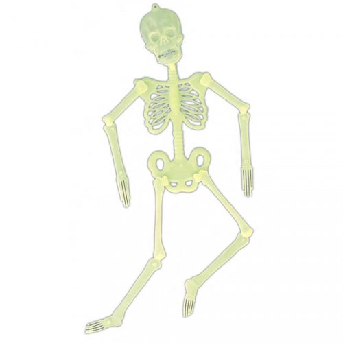 Squelette  Articul  Phosphorescent 140 cm D corations 