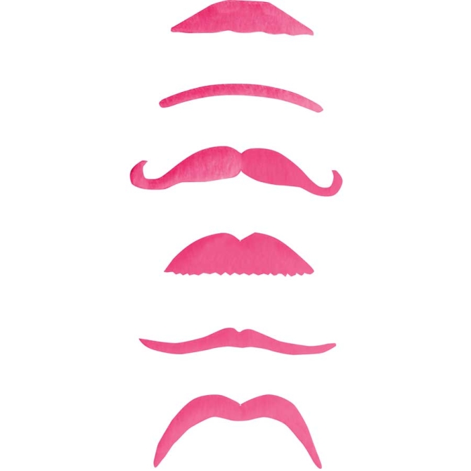 Set de 6 moustaches roses 