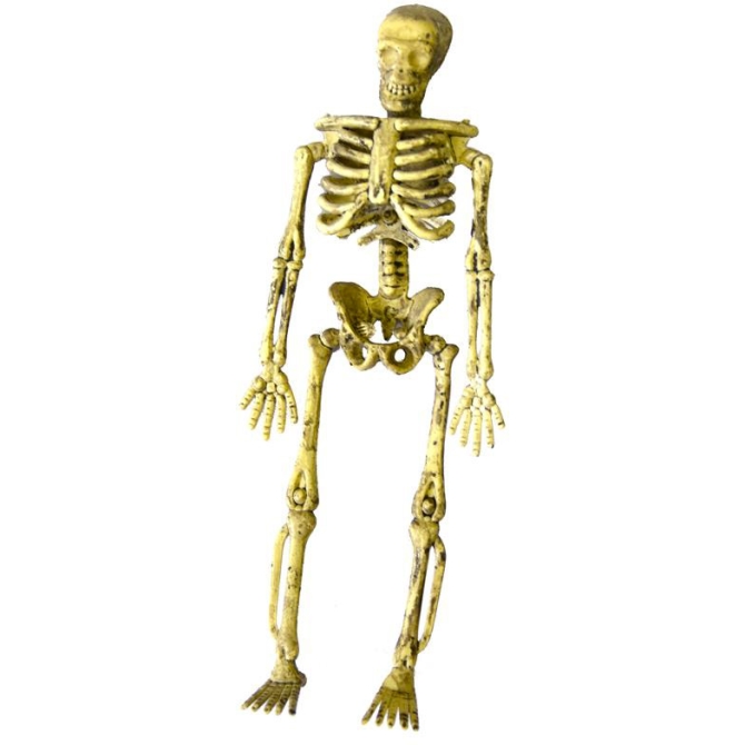 4 Squelettes 3D  Suspendre (14, 5 cm) 