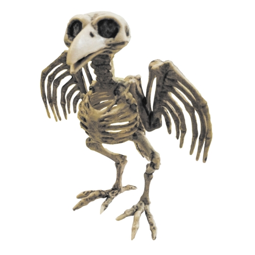 Squelette Corbeau 