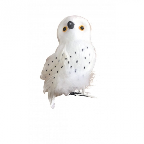 Chouette Blanche 