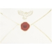 16 Serviettes Enveloppe Chouette - Apprenti Sorcier. n1