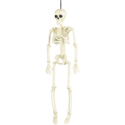 Squelette - 40 cm 