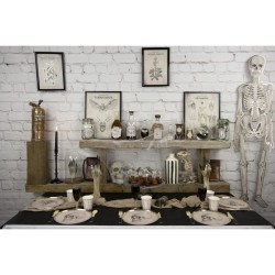 8 Gobelets Main - Squelette Cabinet de Curiosités. n°4