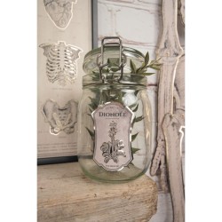 15 Dcorations Bouteilles - Cabinet de Curiosits. n1