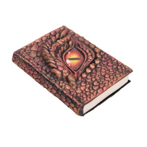 Livre de Magie Dragon