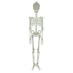 Squelette Phosphorescent - 150 cm. n1