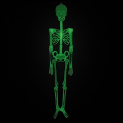 Squelette Phosphorescent - 150 cm. n2