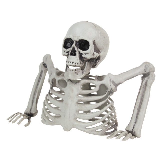 Squelette Mort Vivant 