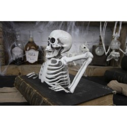 Squelette Mort Vivant. n°1
