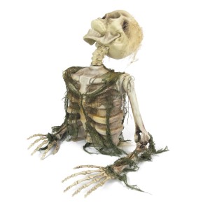 Squelette Mort Vivant Effrayant