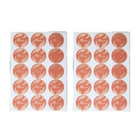 10 Etiquettes Cadeaux - Terracotta et Or