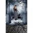 Araigne Velue 3D Gante (125 cm)
