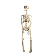 Suspension Squelette (92 cm)